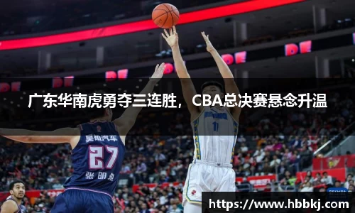 bsports登录入口