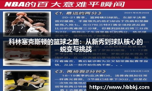 bsports登录入口
